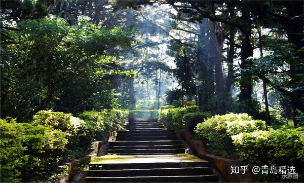 600年青岛午山,寻一场世外桃源之旅