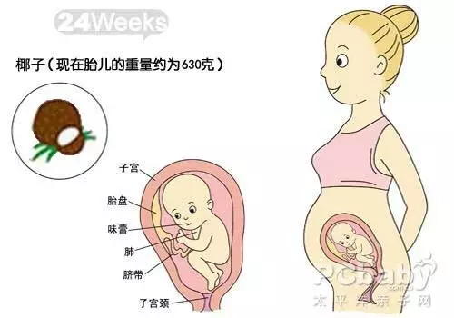 以水果大小形容,告诉你1-10个月胎儿到底有多大?