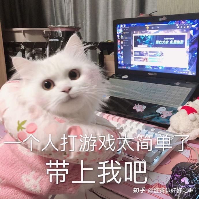 csgo打不到头怎么回事