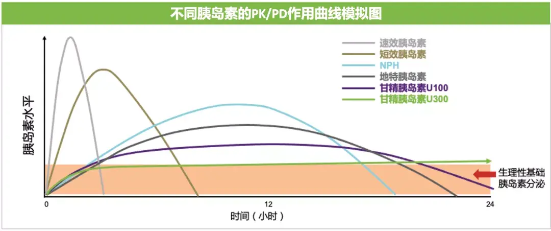 图1 甘精胰岛素u300 pk/pd作用曲线更平稳,更符合生理性基础胰岛素