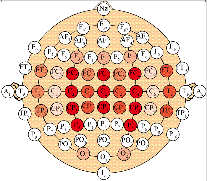 脑电测量时参考电极的选择及其特点