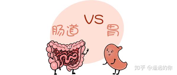 胃胀气胃难受这篇文章可以收藏了消化不良的首先