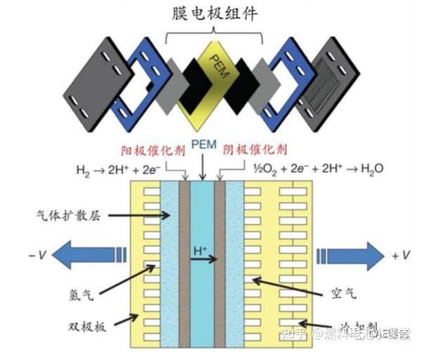 燃料电池工作时,阳极的氢气在催化剂的作用下分解出氢离子和电子,氢