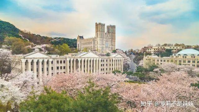 釜山大学