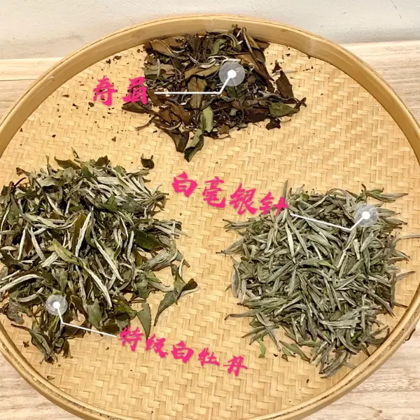 白茶认知 | 白毫银针,白牡丹,寿眉的区别;寿眉和贡眉到底有什么不一样