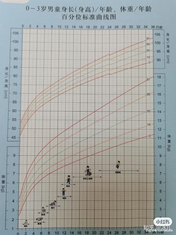 03岁男孩女孩生长曲线图