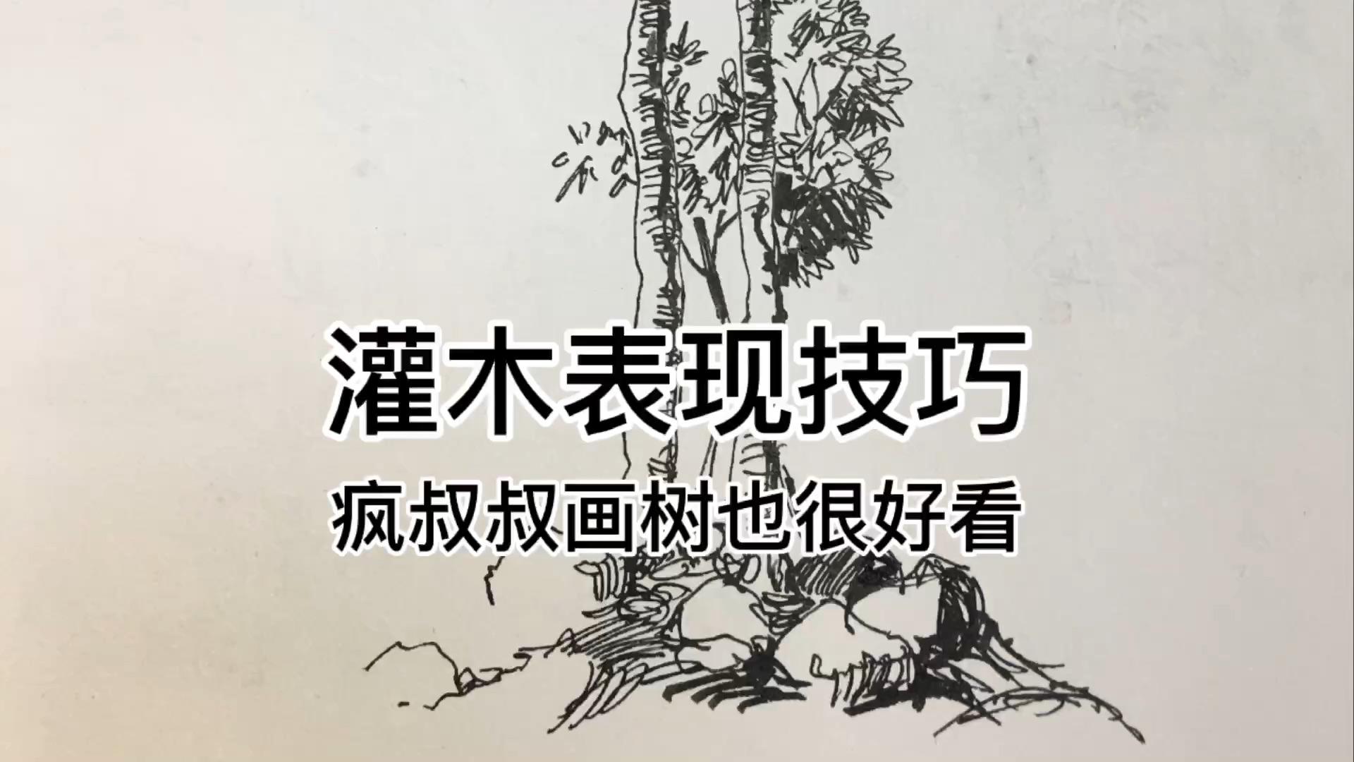 疯叔叔素描创作简单你照画就会了