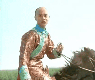 塞娅选驸马为啥选尔康就进京选尔泰却得入赘