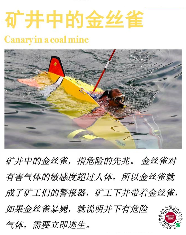 矿井中的金丝雀 Canary in the Coal Mine 知乎