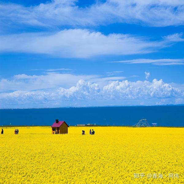 2021最火风景图片,代表幸运的头像风景 青海旅行 | 2021年最火路线