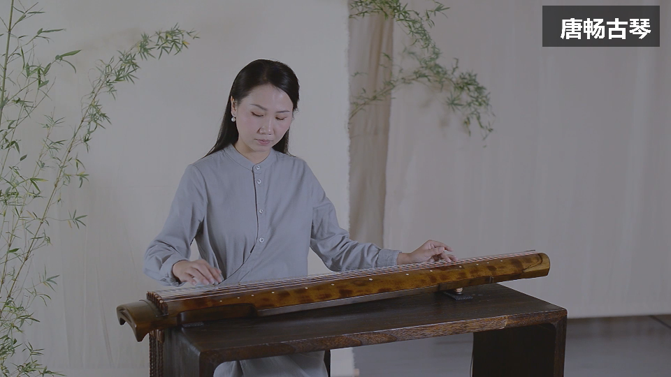 古琴曲《长相思》教学视频(纯净版)
