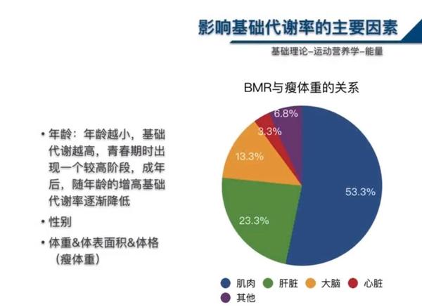 运动营养学-能量消耗