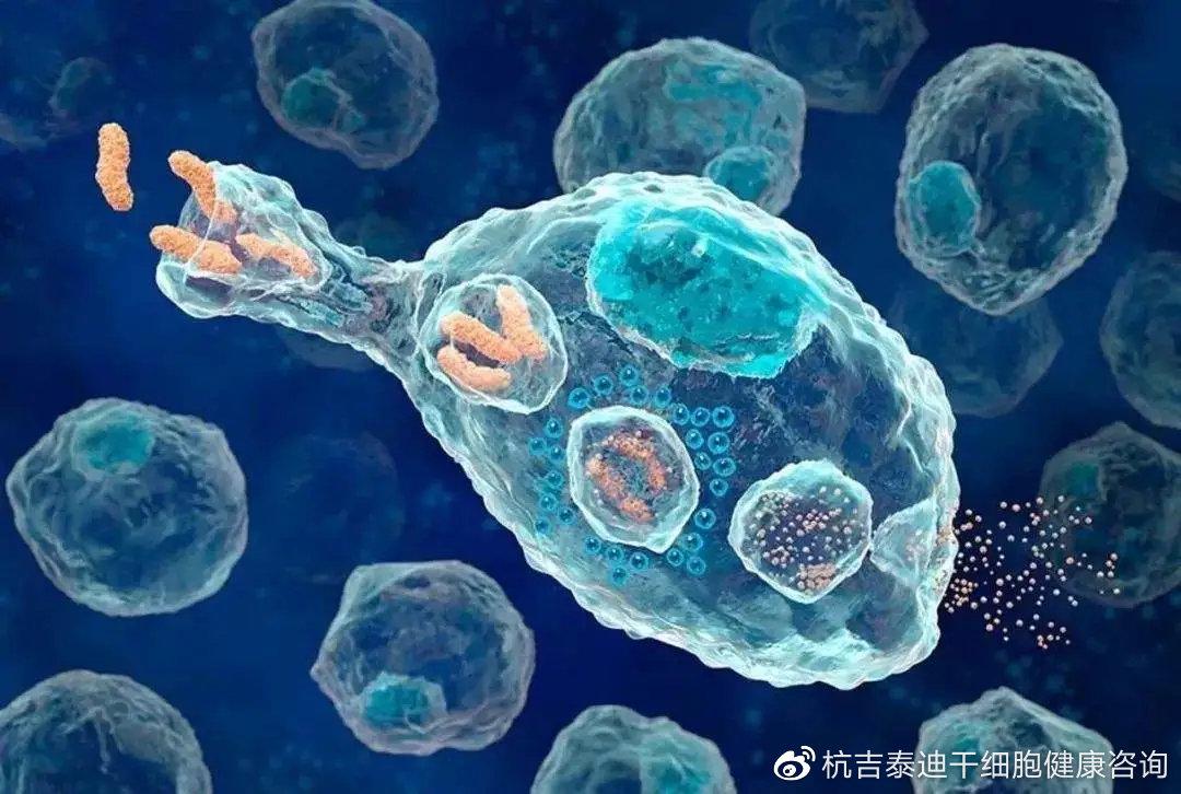 精美动图!抗癌先锋,看看免疫细胞如何杀死癌细胞的过程?