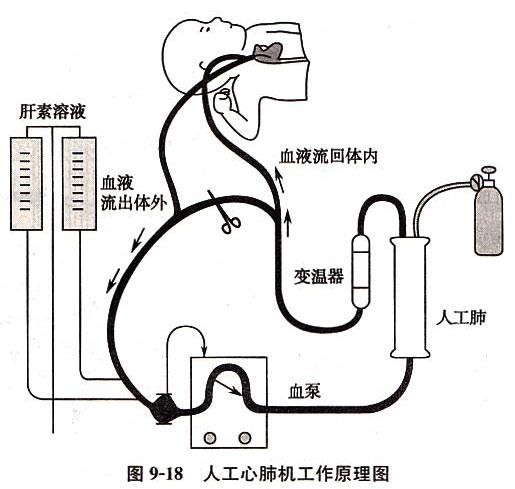 临床29柯克林与体外循环技术的发展