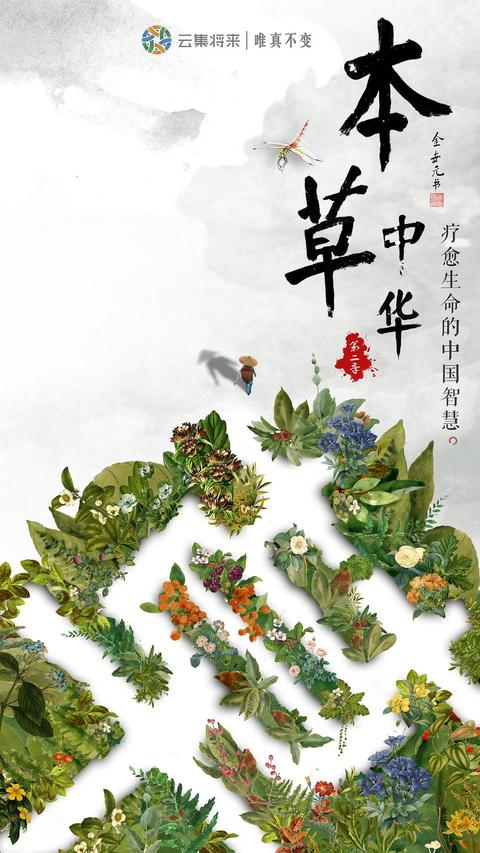 如果要写一个关于中医,本草的作文,或者本草中国(华)的观后感,并有