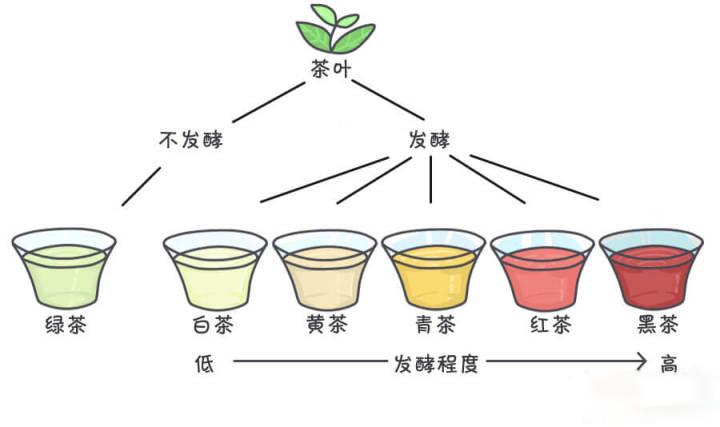 带你认识六大茶类,双十一不再愁选茶