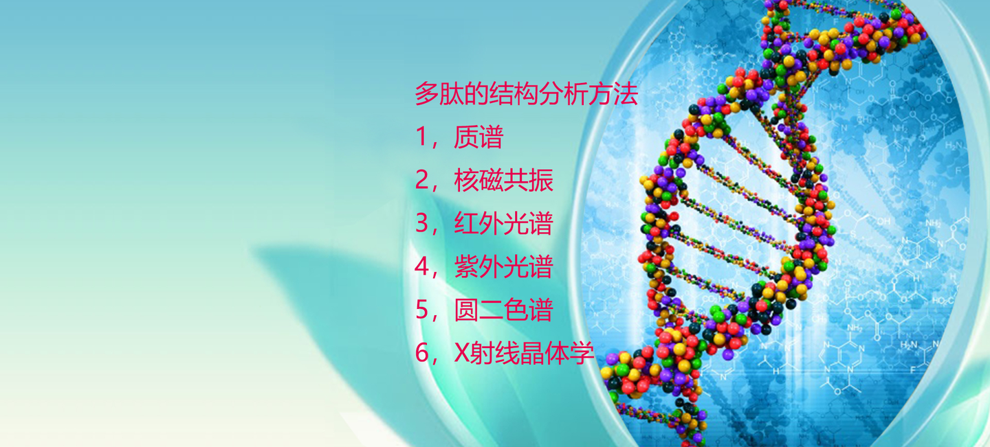 多肽的结构分析方法质谱核磁共振红外光谱紫外光谱圆二色谱x射线晶体