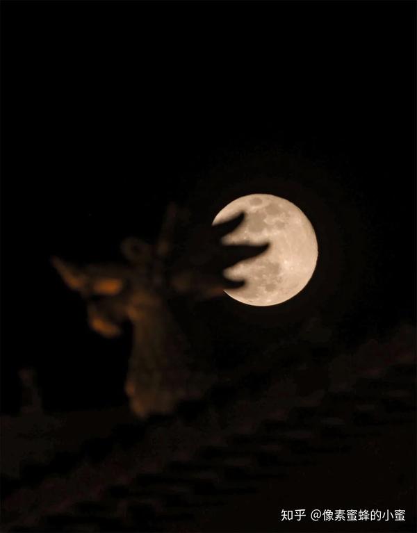 比起拍一个光秃秃的大月亮,巧妙地运用前景,往往能让照片更有意境.