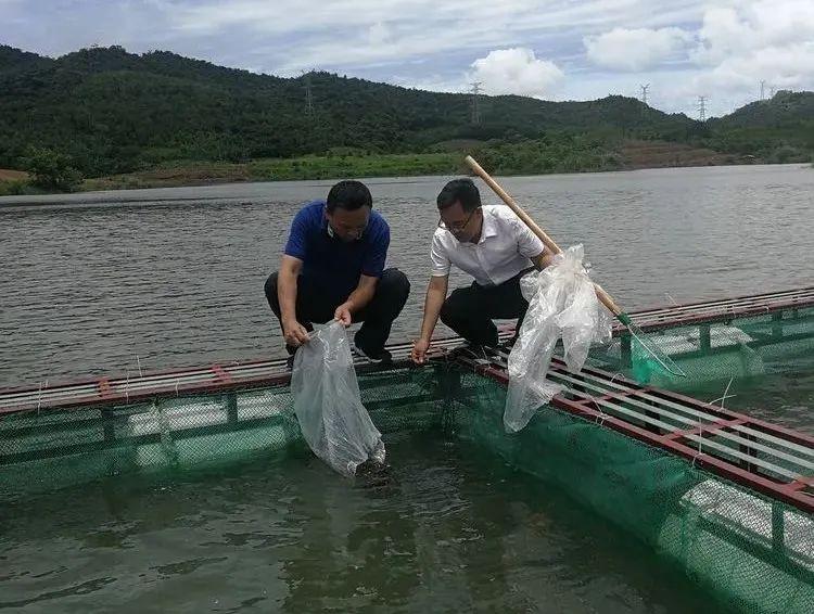 淡水养殖区域选择