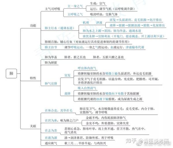 中医考研精准干货8张思维导图拿下藏象最高频考点