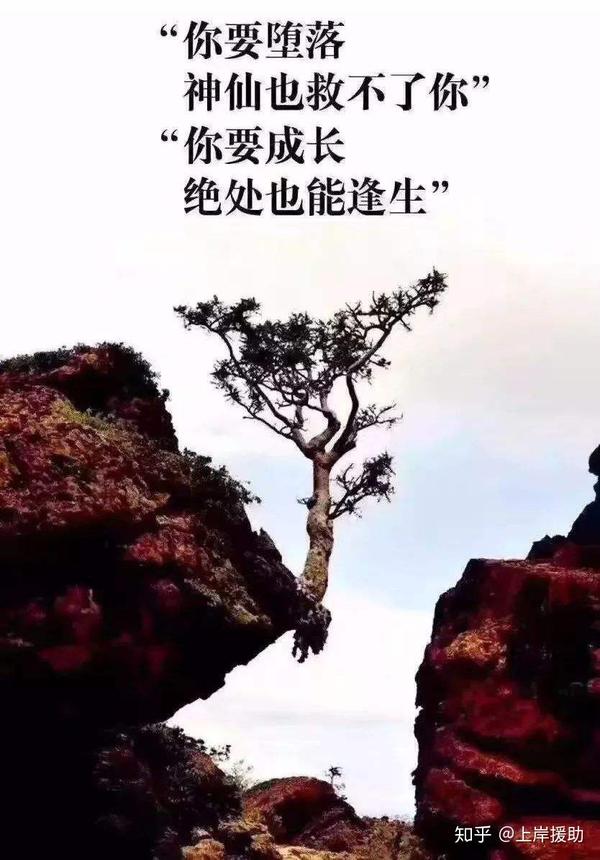 我是阿梦,传播正能量,为逾期人法律援助,早日上岸!
