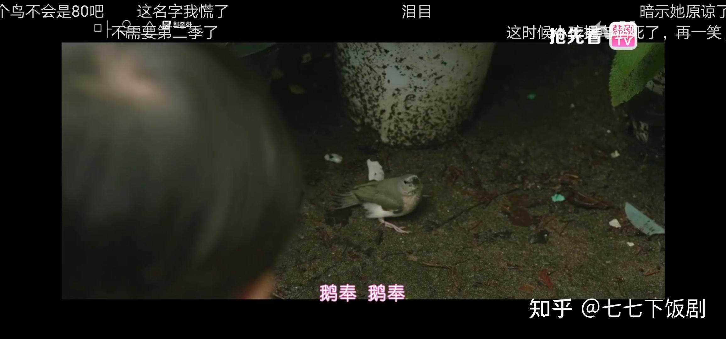 如何评价韩剧窥探mouse第二十集大结局