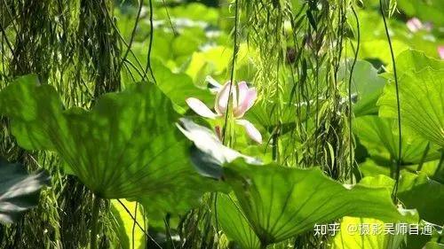 镜头 长焦_长焦镜头的景深_长焦单反镜头