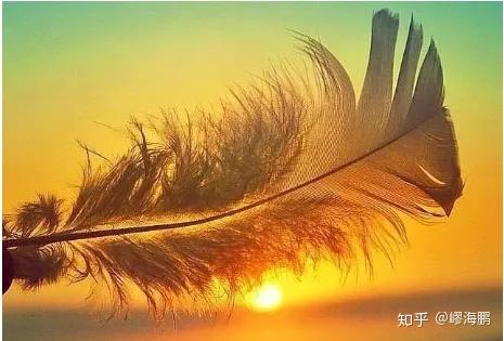爱人之间,不总是大难来时各自飞,总有患难见真情的爱人,能与你苦乐与