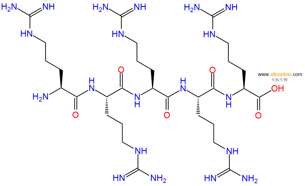 五聚精氨酸>r5多肽