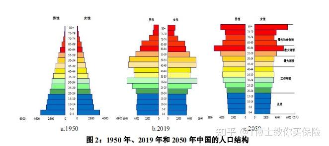 到时候整个中国的人口结构也将从现在的长方形变成倒金字塔.