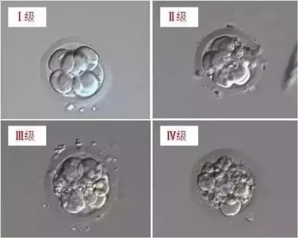 一般一级和二级的第三天胚胎都是很不错的.三级的差了点,但还可用.