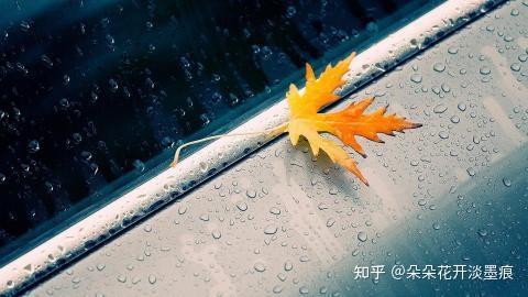 描写下雨天的诗句有哪些