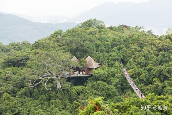 呀诺达雨林文化旅游区位于三亚市北偏东方向的保亭黎族自治县三道