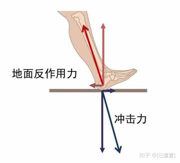 脚踝承载受力