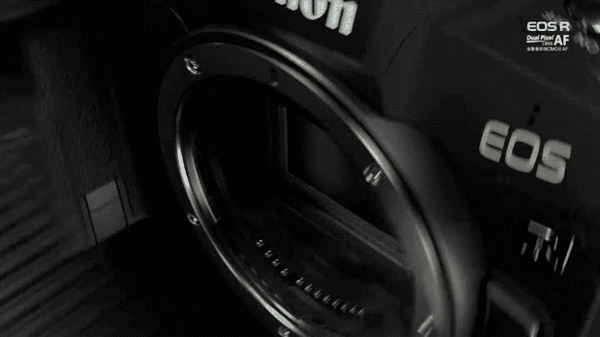 1万5预算内无敌手细数佳能全画幅专微强大性能