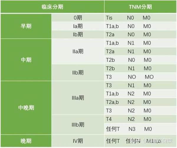 带你详细了解肺癌的分期依据