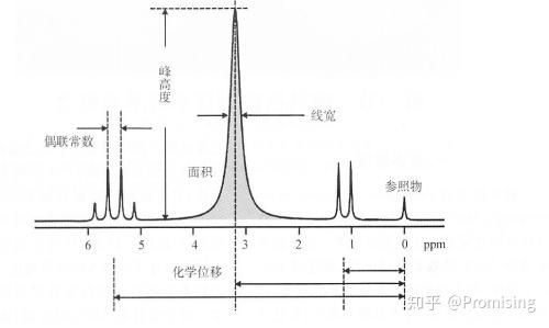 第十节磁共振波谱成像技术