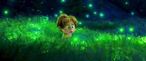 西双版纳只能看花草吗?错了,这里还是中国看萤火虫最好的地方!