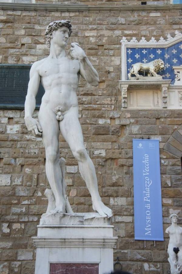 ("大卫"陈列在佛罗伦萨美术学院的美术馆) 最后上组美第奇家族族徽