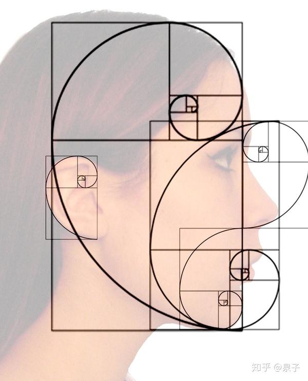 如何绘制黄金分割矩形?螺旋线?斐波那契数列?