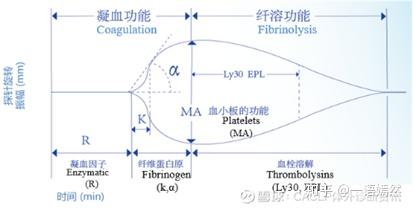 血栓弹力图仪(teg)从(从血小板聚集,凝血,纤溶等)凝血全程来监测血液