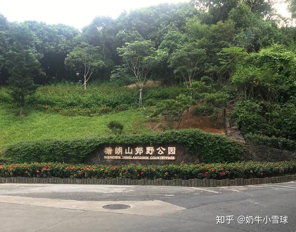 广东导览塘朗山郊野公园