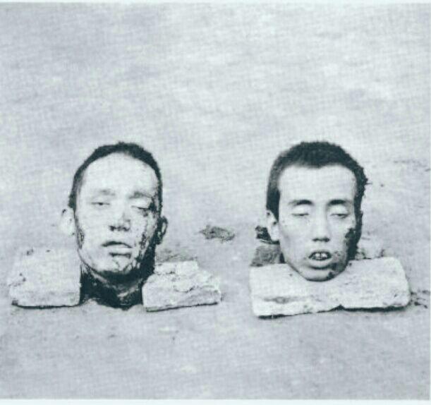 武昌起义爆发前牺牲的刘尧徽,彭楚蕃烈士头颅