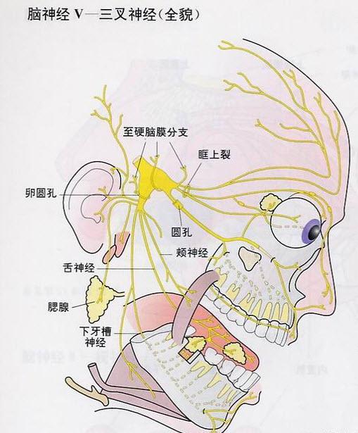 三叉神经痛到底要怎么根治