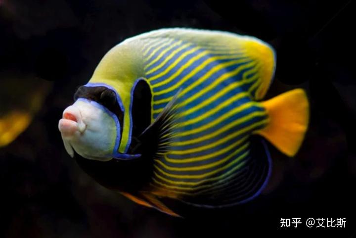 v2 165c388bdcd3b5eb0759b334e35e90e5 720w