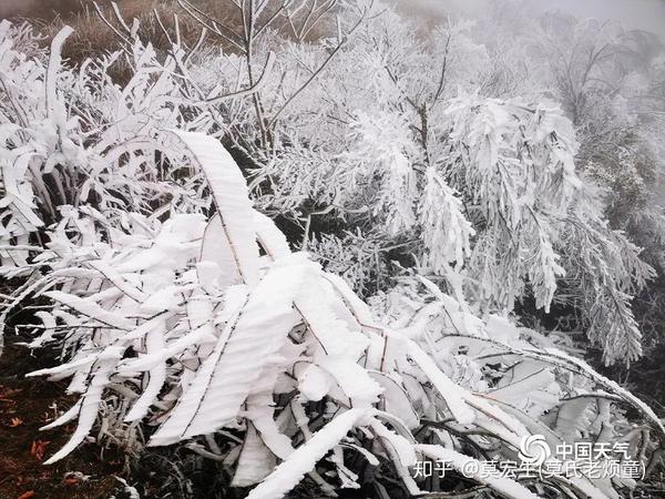 中国广西桂林资源县喜迎第二波雪景景色醉美人间