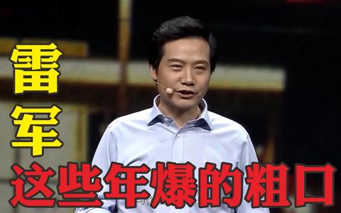 雷军这些年爆的"粗口,简直屌爆了_哔哩哔哩)つロ 干杯-bili