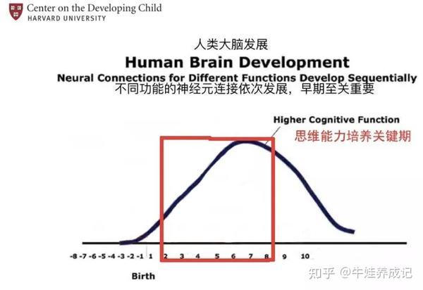 哈佛大学发布的《人类大脑发展曲线图》显示: 3~8岁是孩子数学思维