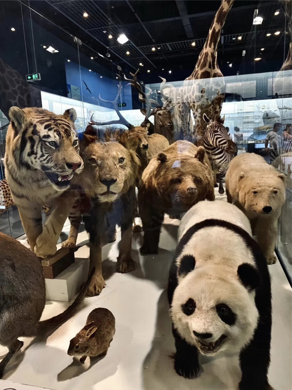 国际博物馆日丨除了动植物园,还能到哪里学动植物百科