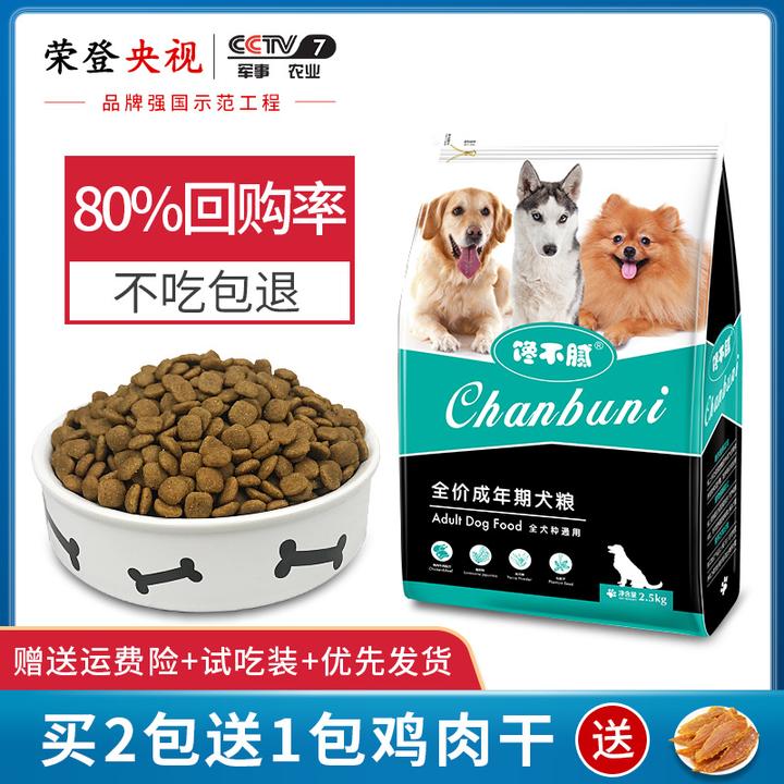 当泰迪犬有这些特征,说明它已经步入老年期了!